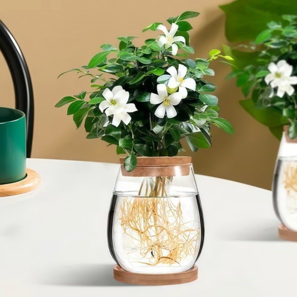 Propagation Station Vase - Transparante hydroponische bloempot met houten dienblad,