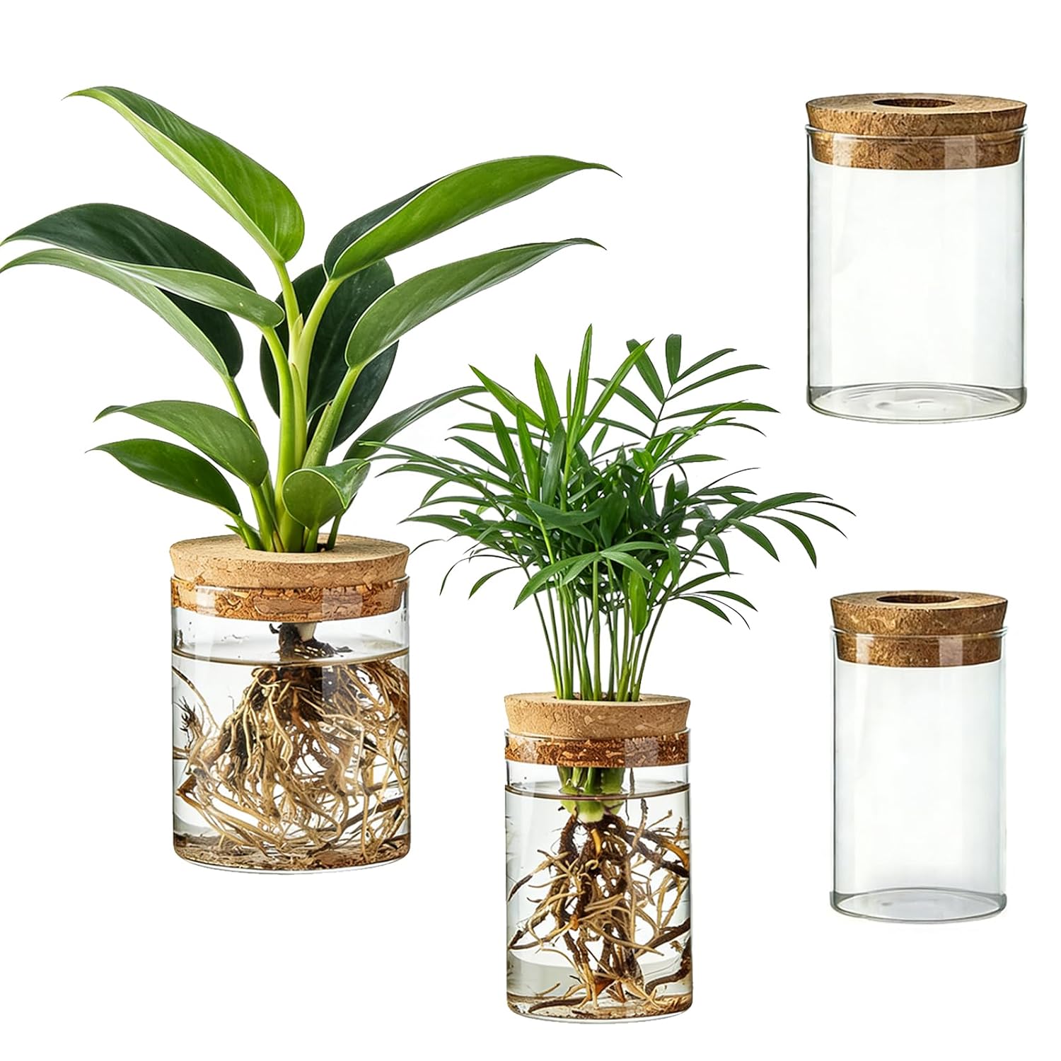 Glazen kweekstations, 2 grote  - Propagation Station Vase recensie en prijs