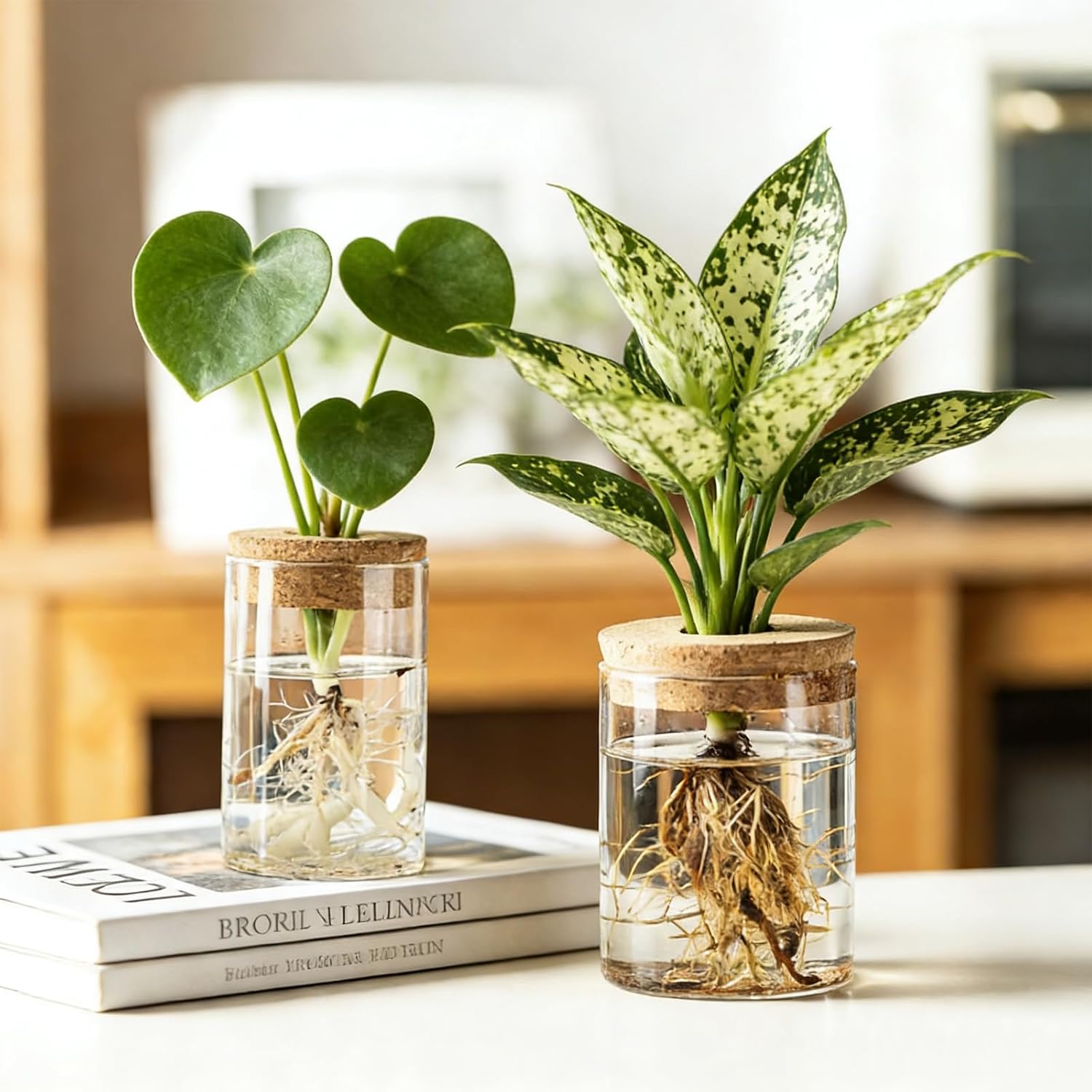 Glazen kweekstations, 2 grote  - Propagation Station Vase recensie en prijs