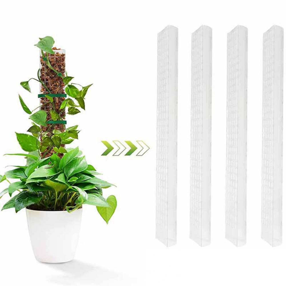 Klimplanten, mospaal, bevestig - Sphagnum Moss Dry recensie en prijs