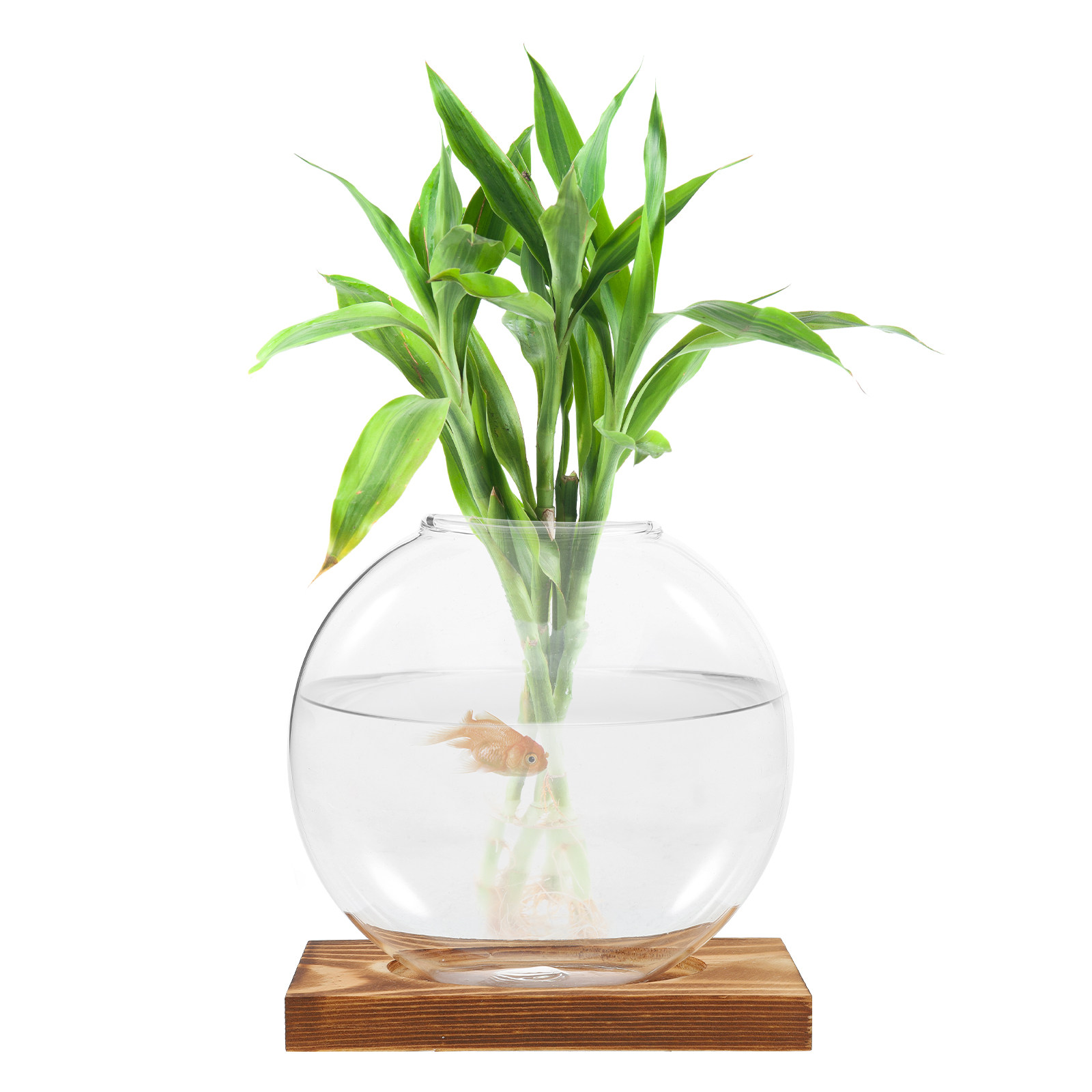 Hydroponisch bloempotframe, gl - Propagation Station Vase recensie en prijs