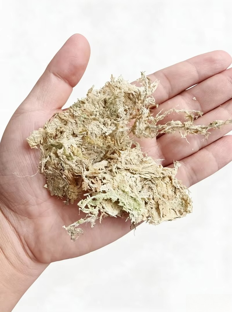 Premium Sphagnummos voor Orchi - Sphagnum Moss Dry recensie en prijs
